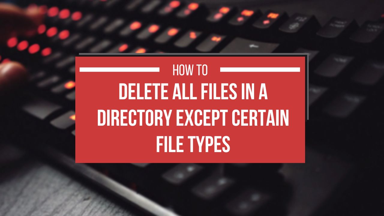 How to Delete All Files in a Directory Except Certain File Types in Ubuntu and macOS